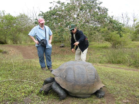 Riesenschildi, die lagen dort in Schwärmen rum ....