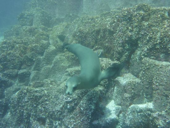 isse nich süss ....