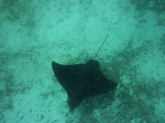 direkt unter uns .... aber mal eine bessere Aufnahme