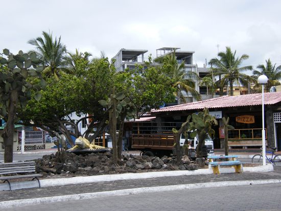 Puerto Ayora, der zentrale Platz ...