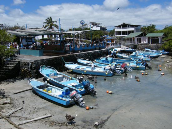 der Fischmarkt von Puerto Ayora