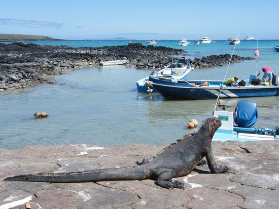 zentrale Überwachungsstation im Hafen .... 