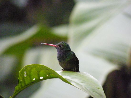 so machen die keinen Krach ....