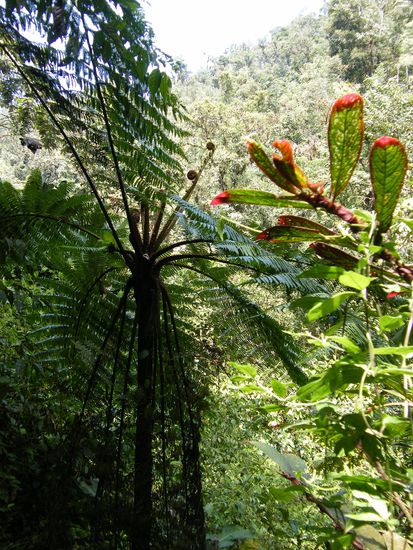 auf der Wanderung ....
