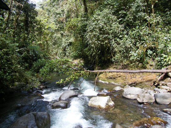 auch noch am Wasserfall ....