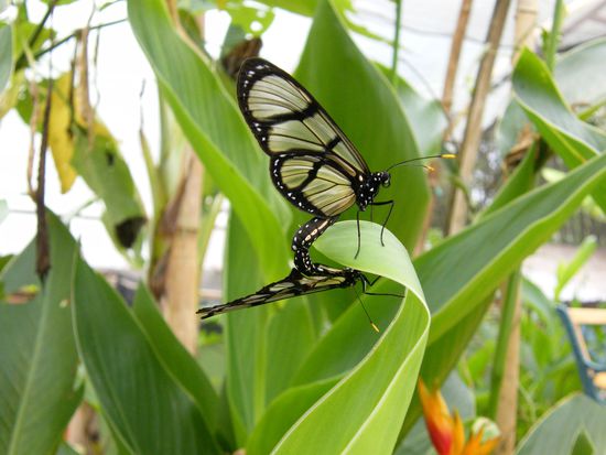 was macht ihr denn da .....
