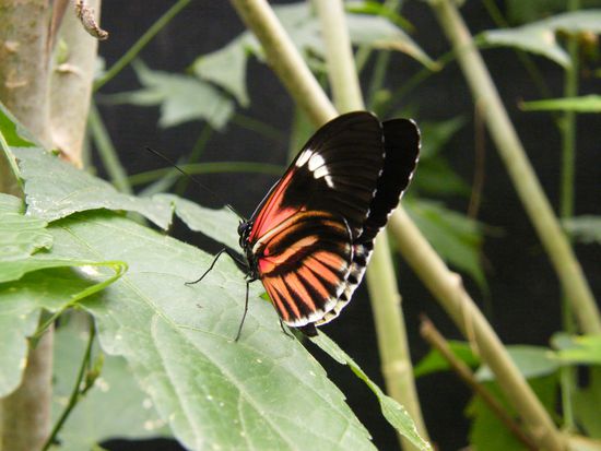 jetzt ist aber Schluss .... für heute