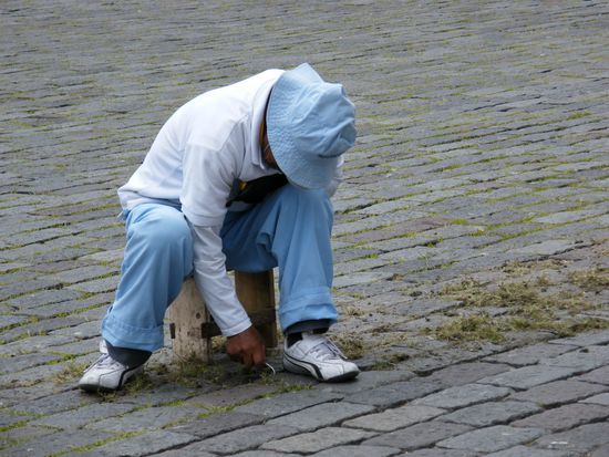 Landschaftsgärtner ..... 