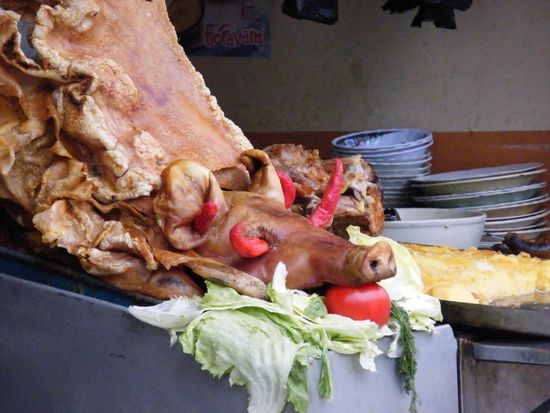 noch eine Impression aus Quito ... wo kam die arme Sau wohl her ????