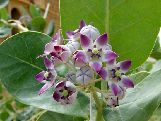 hier .... schon wieder.