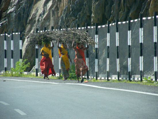 die Maedels haben mal kurz Holz geholt.