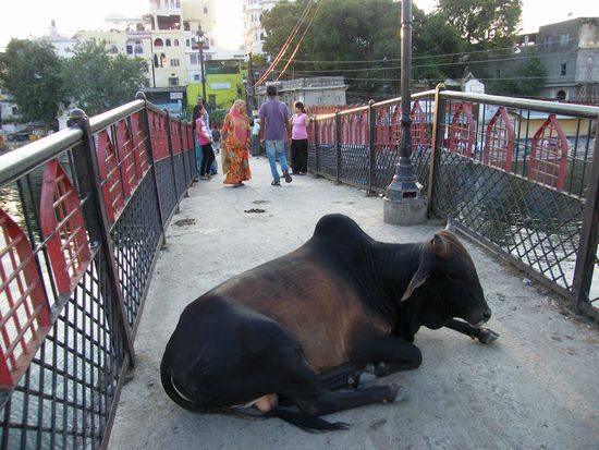 yepp... da ist nicht mehr viel Platz auf der Bruecke