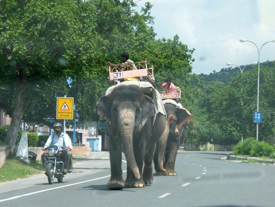 die Jungs auf dem Heimweg