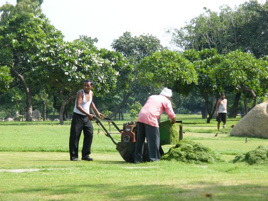 der Rasenmähermann ... und sein Gehilfe