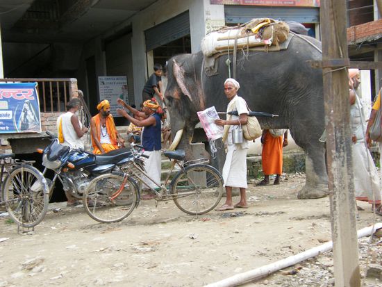 unser erster indischer Elefant, am Strassenrand geparkt ...