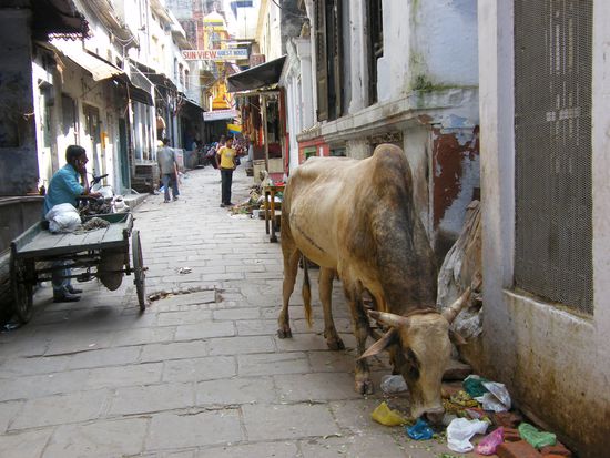 in den Gasen von Varanasi