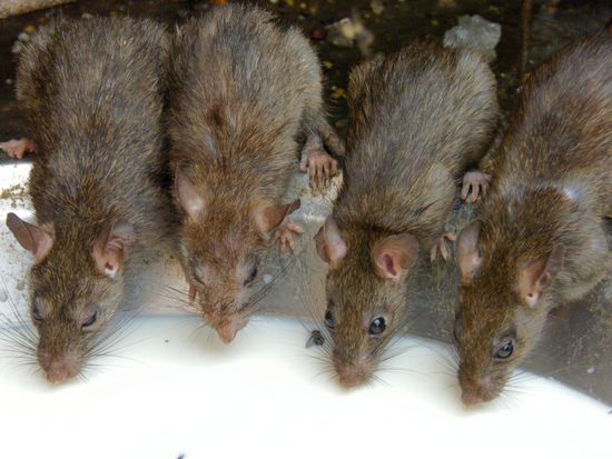 nur vom feinsten ....