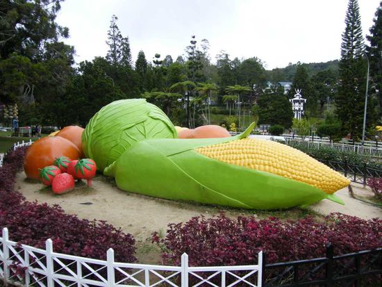 der Obstgarten ... grins. Mal ohne Quatsch, hier oben stehen ähnlich viele Gewächshäuser wie in Holland ... grins.