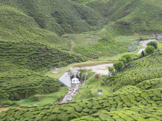 kleiner Wasserfall im Tee ... juche ....