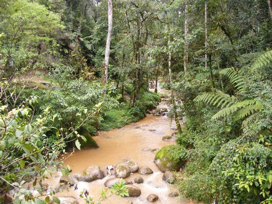 da irgendwo muss er sein, der Wasserfall