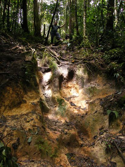 der Wanderweg .... und da musste man runter ...