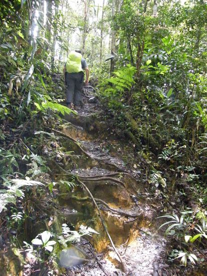 und kein Ende in Sicht ....