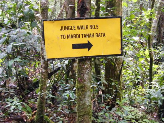 oder doch ... Mardi sagte uns was ....