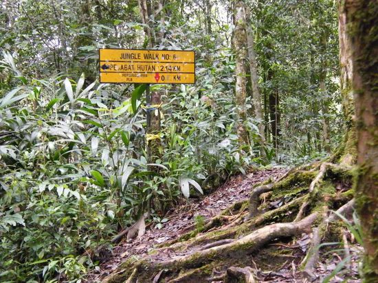 hier wurden die Info`s schon ein bischen dünner ....