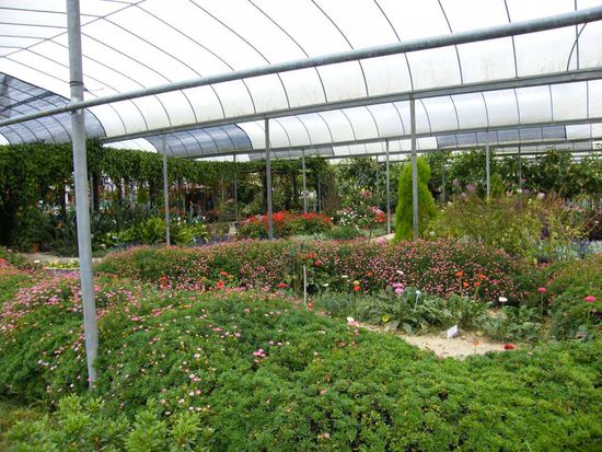 die Blumenabteilung ....