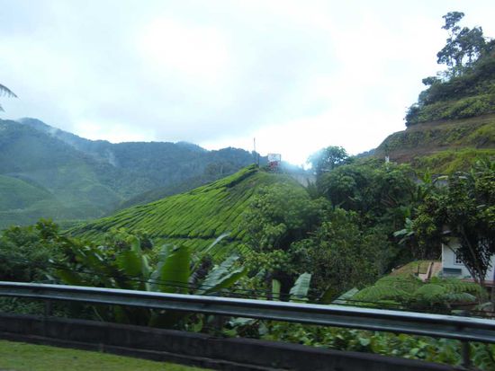 auf dem Weg raus aus den Highlands