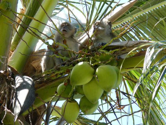 Der Beach hatte seinen Namen zurecht ....