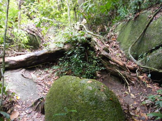 sieht man den Weg???