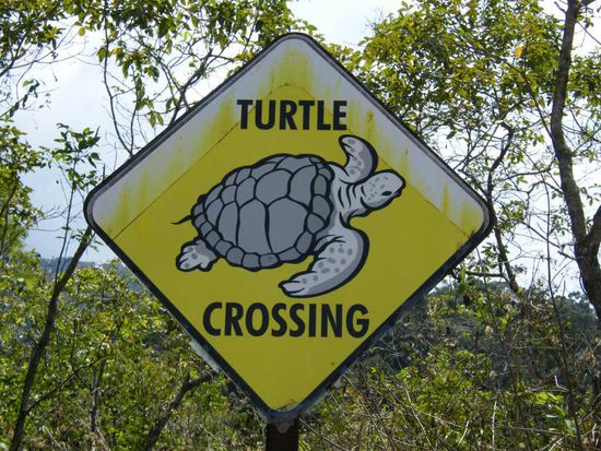 Attenchen, Attenchen.....