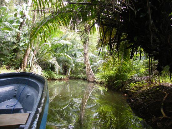 immer noch der gleiche Weg ...