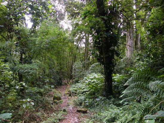 hier war alles voller Gegend ... vom feinsten.