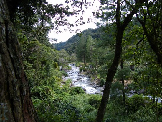 schon wieder alles voller Gegend ...