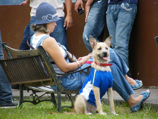 die Hunde frieren hier wie sau ... aber mit einem ordentlichen T-Shirt kann nichts mehr passieren....