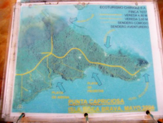 die einzige Karte von Boca Brava