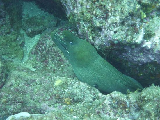 schon wieder eine Moräne ...