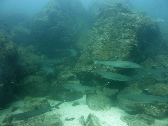 kurz nach dem wecken ...