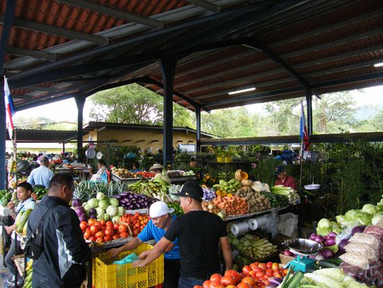 der Gemüsemarkt ...