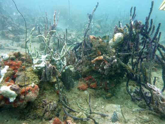 alles voller Landschaft ...