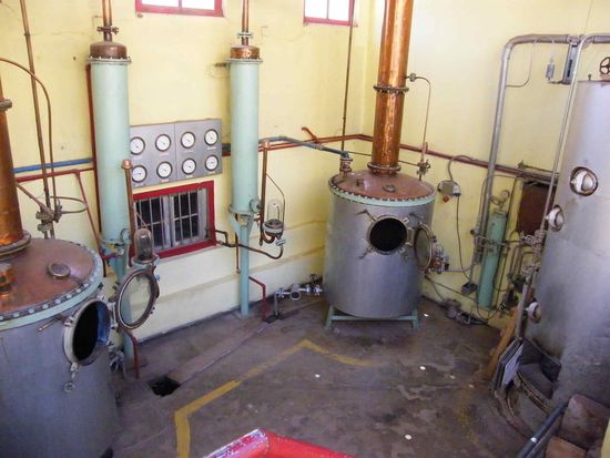 in der Pisco- Brauerei ...