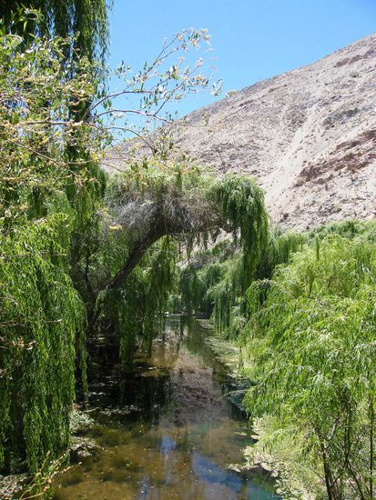der Fluss im Elqui- Tal