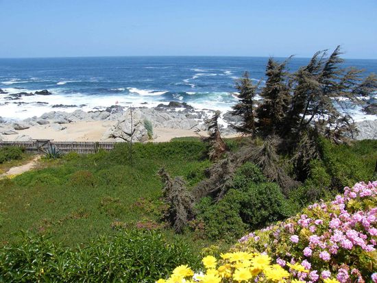 den Blick kann man lassen ... oder?