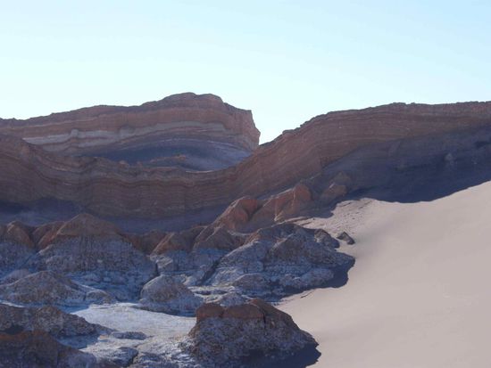 keen Bohm weit und breit .... Sträucher och nich ...