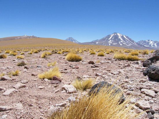 alles voll Landschaft