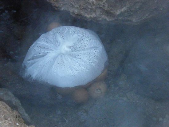 Eier kochen im Geysirwasser