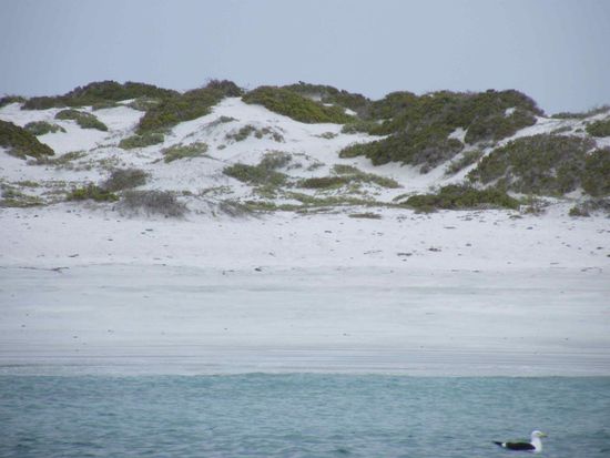 Isla Damas ... die Insel wo wir nicht drauf durften, weil geschlossen war.