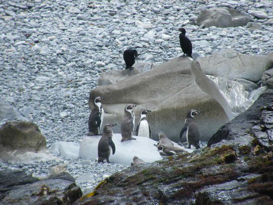 na ... wer errät es ???